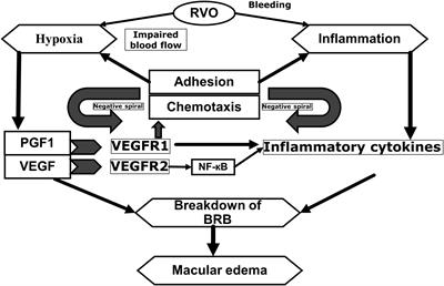 Long term efficacy and safety profile of dexamethasone intravitreal implant in retinal vein occlusions: a systematic review